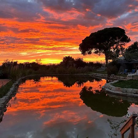 Oasis Camp Portugal Hotel Lagoa  Luaran gambar